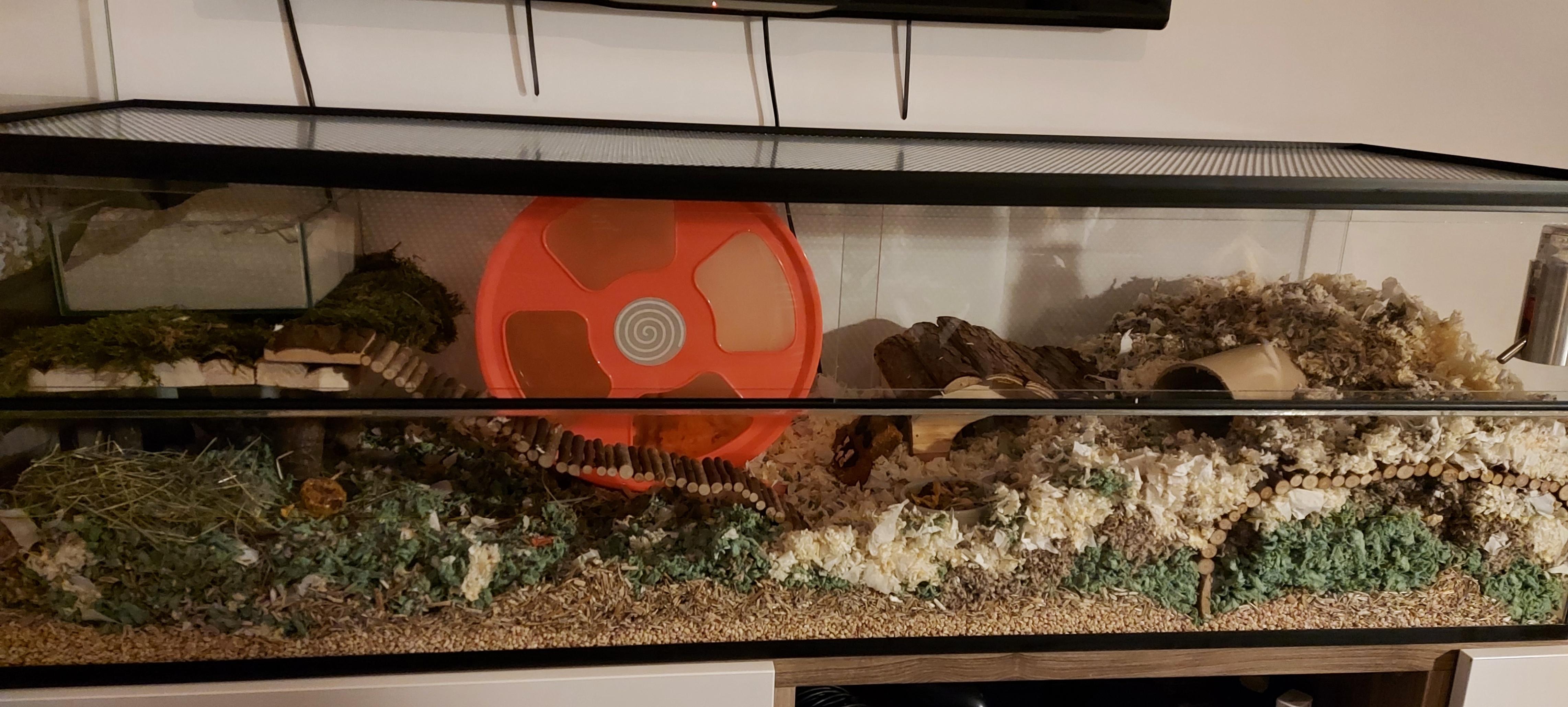 Hamster terrarium met schuifruiten zonder plateaus